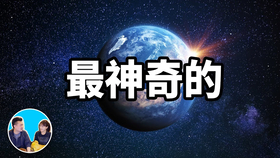 2025老高，老高在2025年的故事