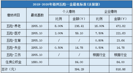 梧州新闻最新发布，梧州新闻最新动态发布