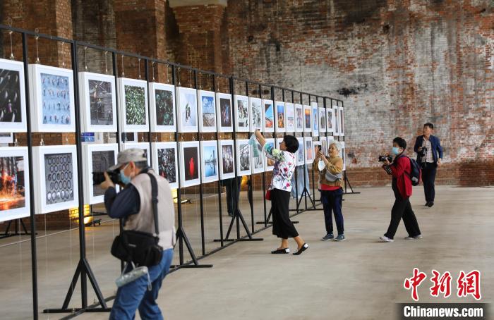 漳平拜登最新信息全面解读，发展与变化的深度剖析，漳平拜登最新动态全面解读，发展与变化的深度剖析