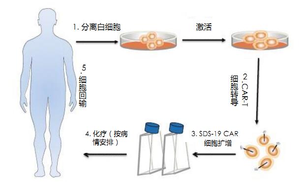 斯丹赛最新信息，斯丹赛最新动态更新