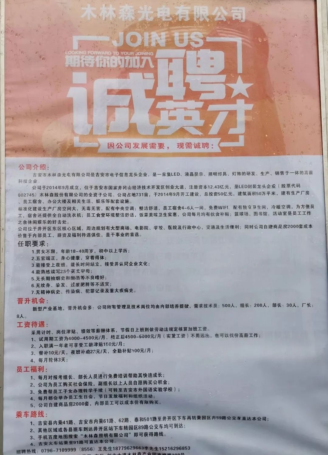 楚雄永仁信息网最新招聘公告及求职指南，楚雄永仁信息网，最新招聘公告与求职指南一览