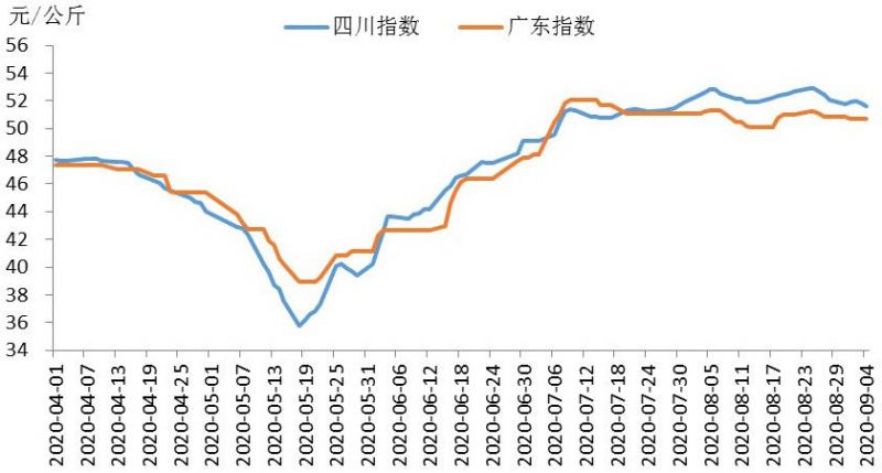 最新的猪肉价钱，最新猪肉价格概览