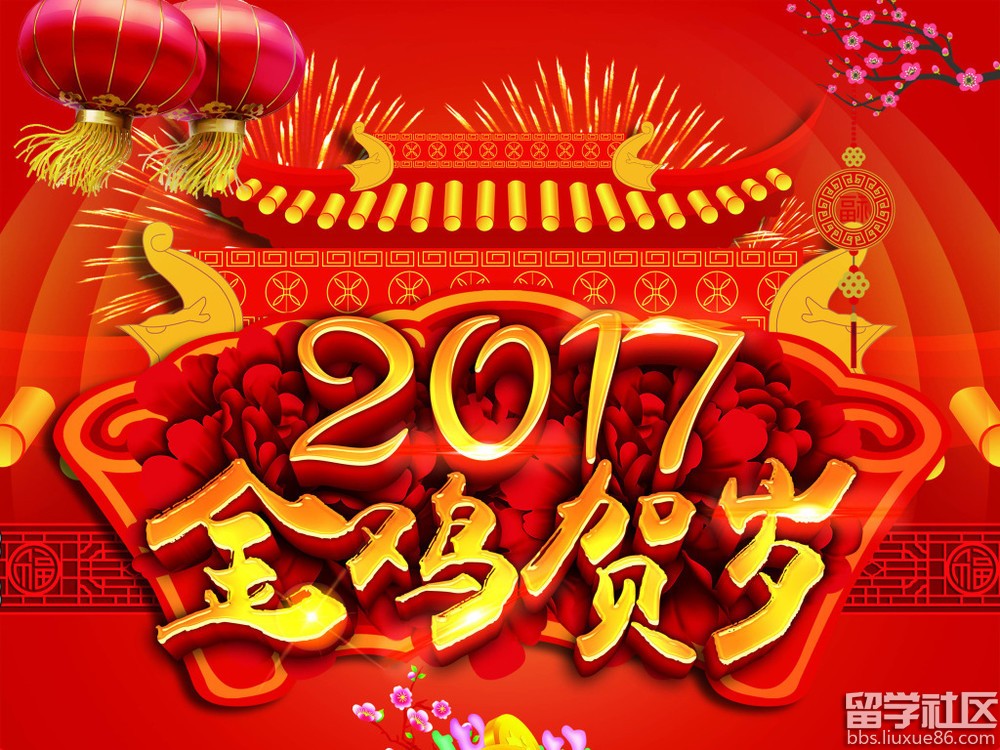 中国春节时间2025年，传统与文化的庆祝时刻，中国春节2025年，传统与文化的欢庆时刻