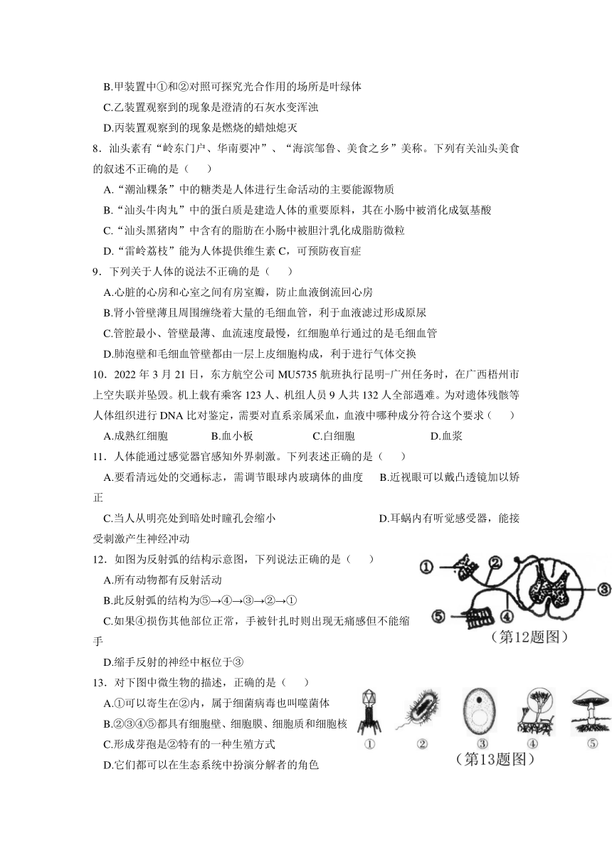 2025年生物中考模拟试卷，2025年生物中考模拟试卷解析与预测