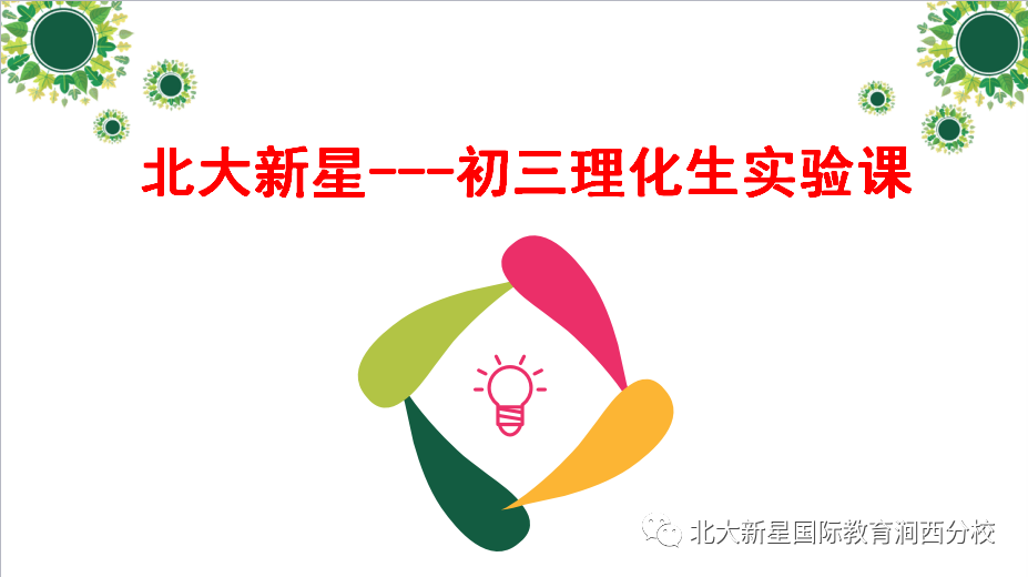 威海刺参最新信息，深度解析市场现状与未来趋势，威海刺参最新动态，市场现状深度剖析与未来趋势展望