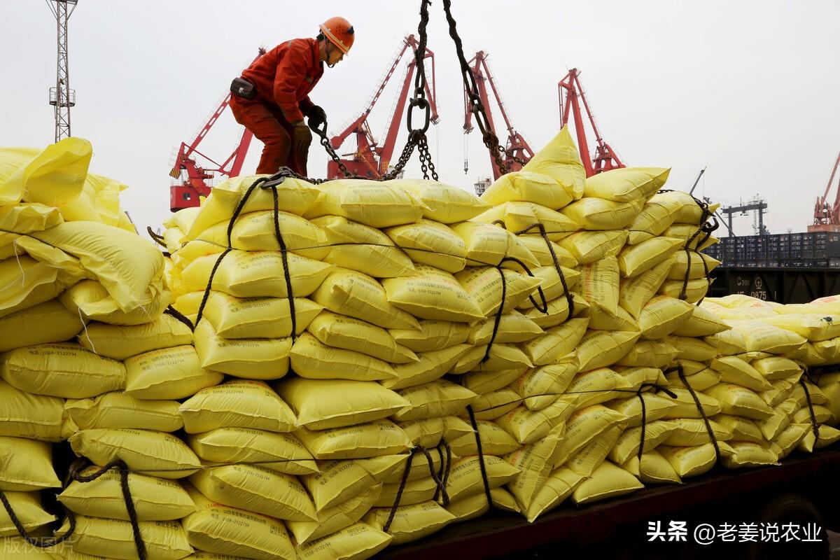 氯化铵最新价格动态及市场趋势分析，氯化铵最新价格动态与市场趋势解析