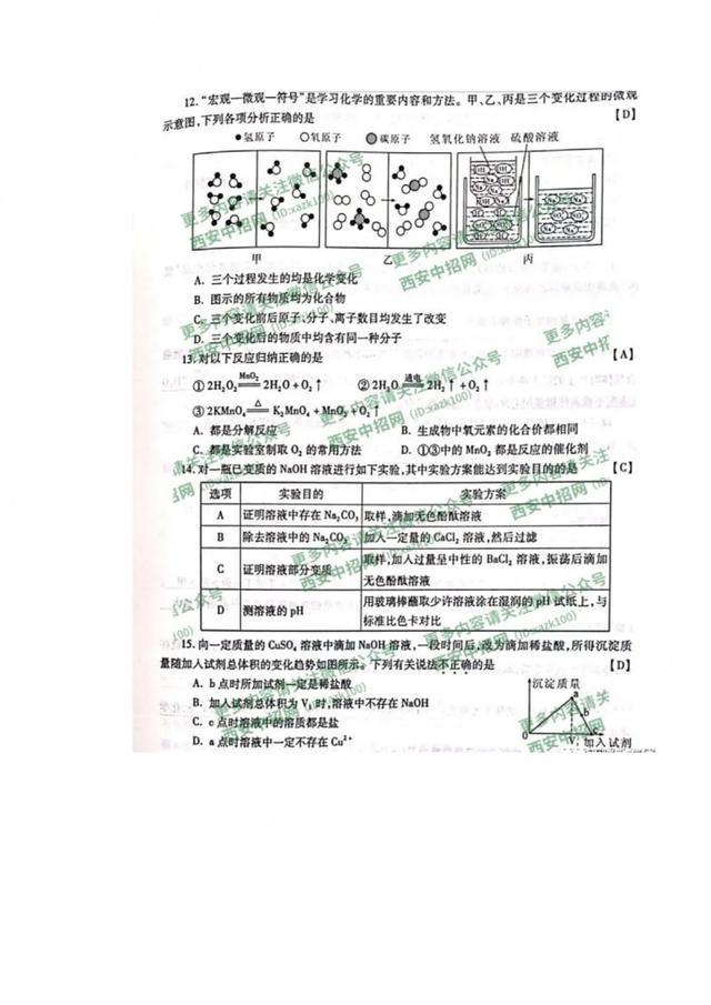 2025年陕西省新高考物理变化，2025年陕西省新高考物理改革与变化概览