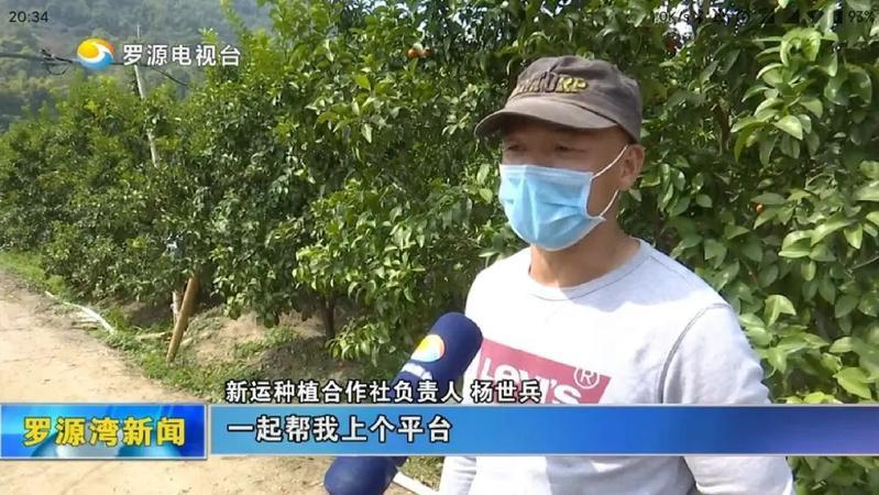 罗源湾滨海疫情最新消息，罗源湾滨海疫情实时更新，最新消息汇总