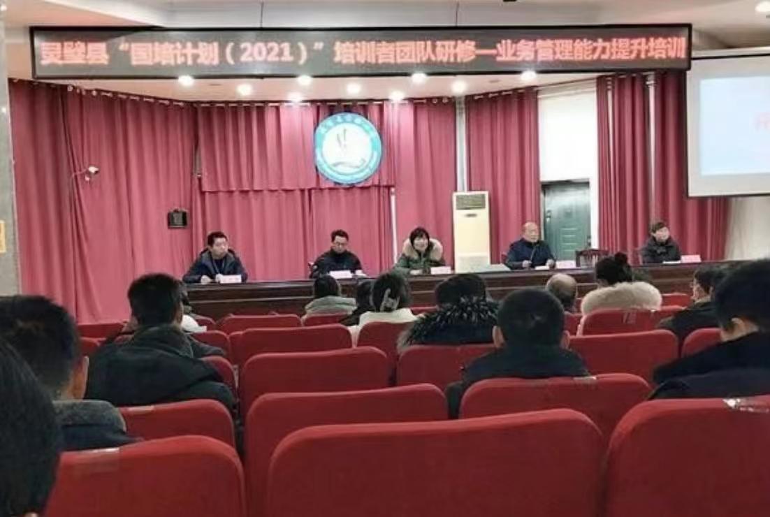 灵璧县最新新闻报道，展现活力与发展步伐的新篇章，灵璧县展现活力与发展步伐的新篇章报道速递