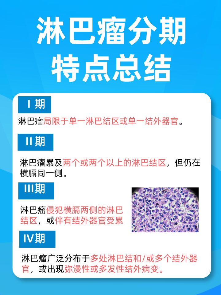 最新直肠癌分期系统，深入理解与应对，最新直肠癌分期系统详解，深入理解与应对策略