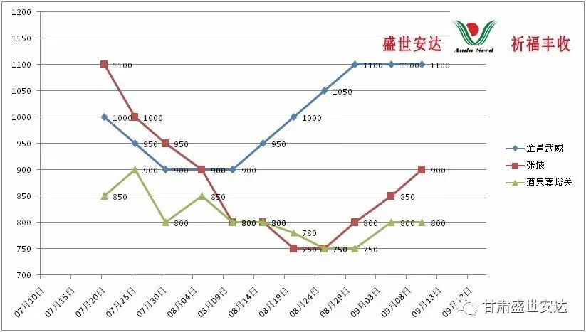 甘肃洋葱价格最新行情，甘肃洋葱价格最新动态