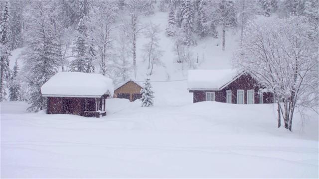 关于潞城区在XXXX年何时会下雪的预测与探讨，潞城区XXXX年雪季预测与探讨