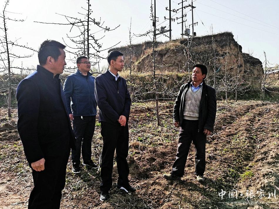 庄河农场转让信息最新更新，全面解读农场转让的最新动态与细节，庄河农场转让信息最新更新，全面解读最新动态与细节