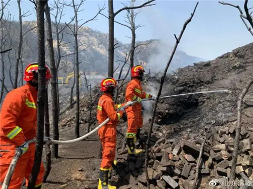 沂源失火事件最新消息，沂源失火事件最新进展：救援进展、原因调查、损失评估及后续措施全解析