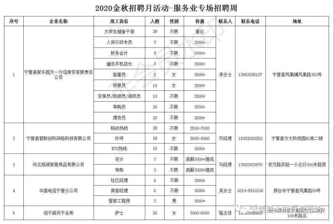 宁晋会计最新招聘信息汇总及解读，宁晋会计招聘信息汇总与解读