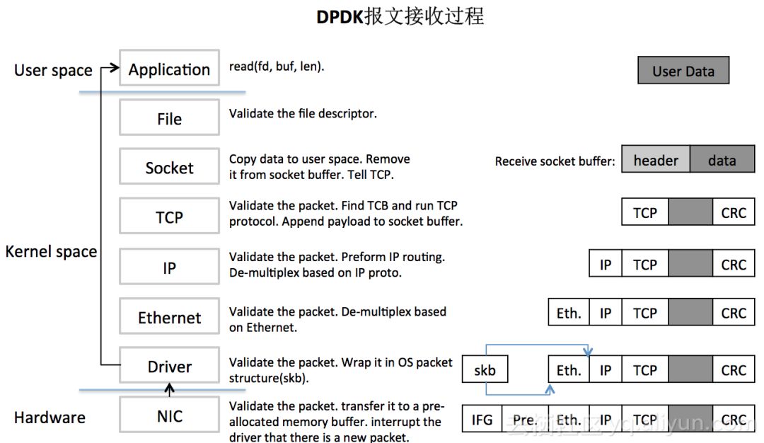 dpx最新版，Dpx最新版本的介绍与特点