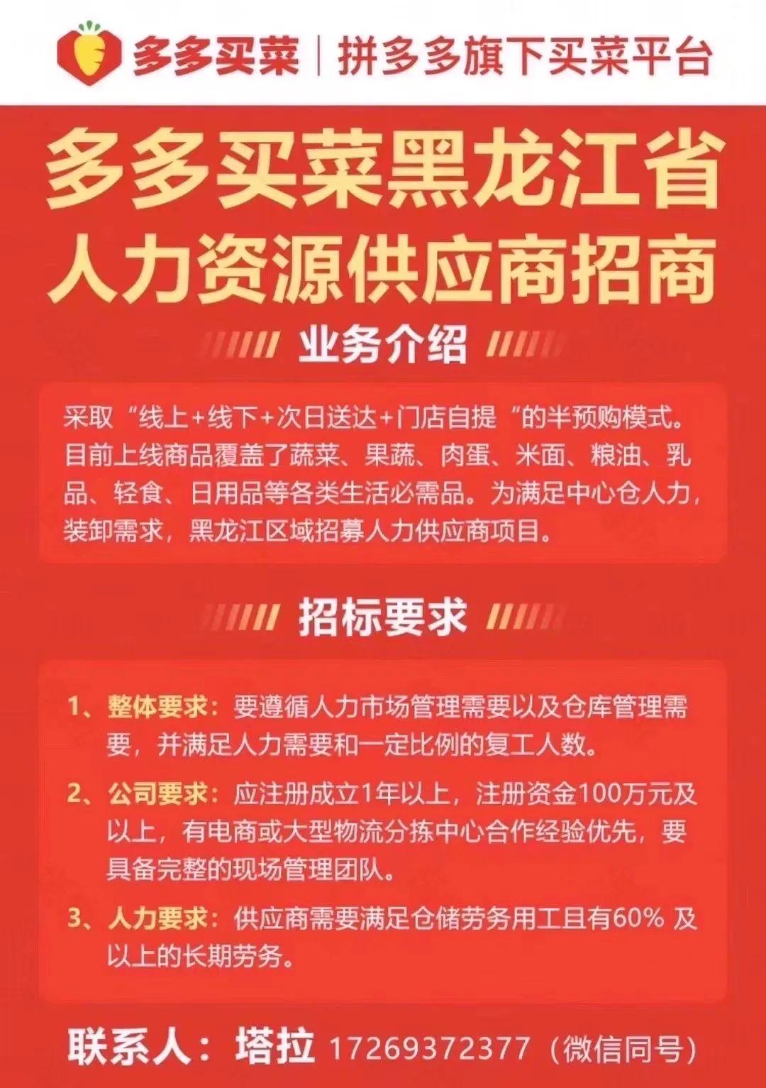 中堂最新招聘司机信息汇总，你的职业机会在这里，中堂最新司机招聘汇总，职业机会一览无余