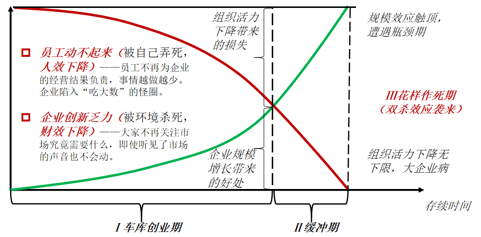 壁布最新款2025高档大气，时尚与品质的完美融合，壁布新款2025，高档大气，时尚品质完美融合