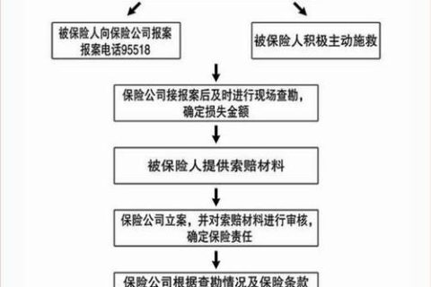 中国人寿最新理赔实务详解，中国人寿最新理赔实务详解概览