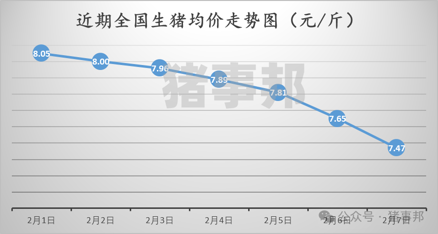 梁山生猪价格最新信息，梁山生猪价格更新，最新市场信息汇总