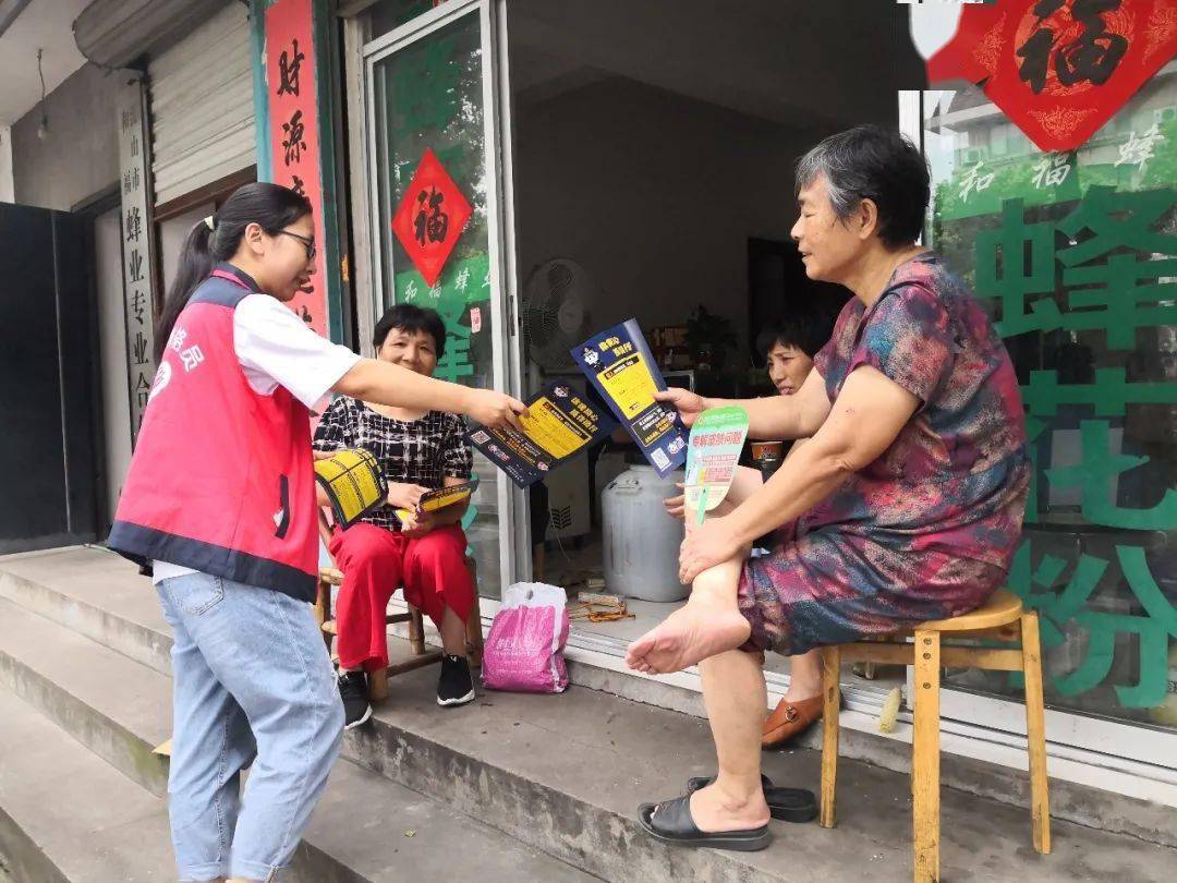 安子诈骗最新消息，安子诈骗最新动态与公众防范建议