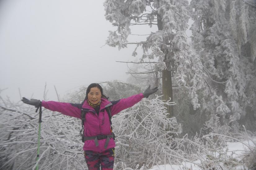 郑州雪景新闻最新报道，郑州雪景最新报道：雪情实时更新与市民欢乐互动，政府积极应对保障城市运行