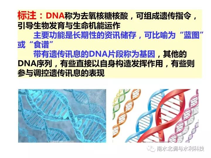 水爷联赛最新消息全面解析，赛场动态、精彩瞬间与未来展望，水爷联赛最新动态解析，赛场动态、精彩瞬间与未来展望