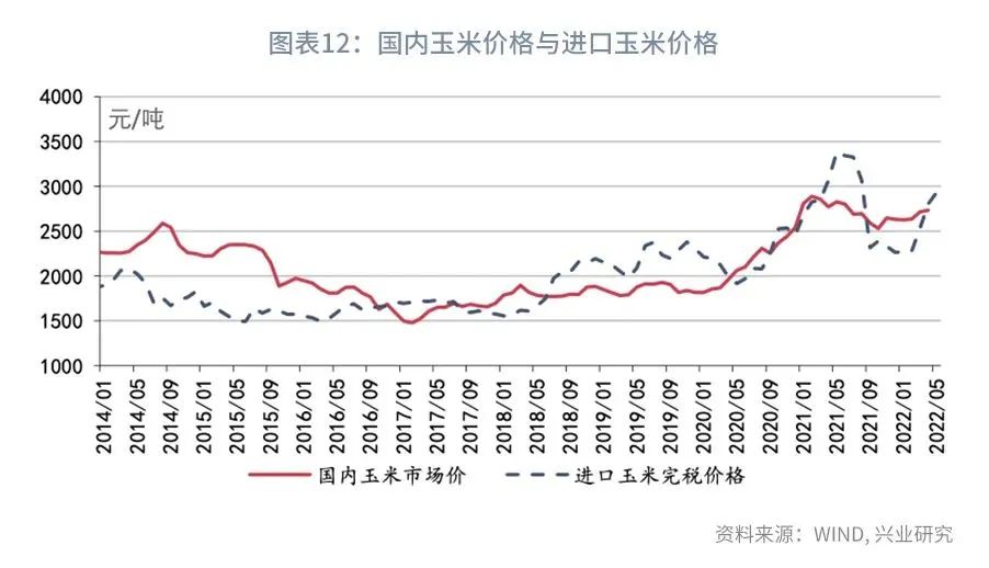 全球粮食市场最新动态，米粮涨价最新信息新闻分析，全球粮食市场最新动态，米粮涨价新闻分析与信息解读