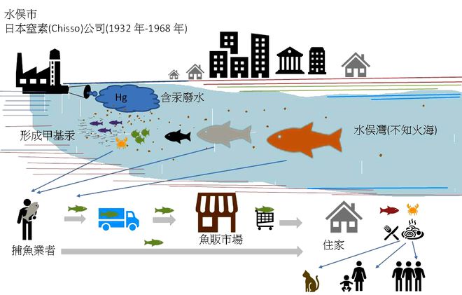 水俣公约的未来展望，迈向可持续的环保之路到2025，水俣公约的未来展望，迈向2025年可持续环保之路