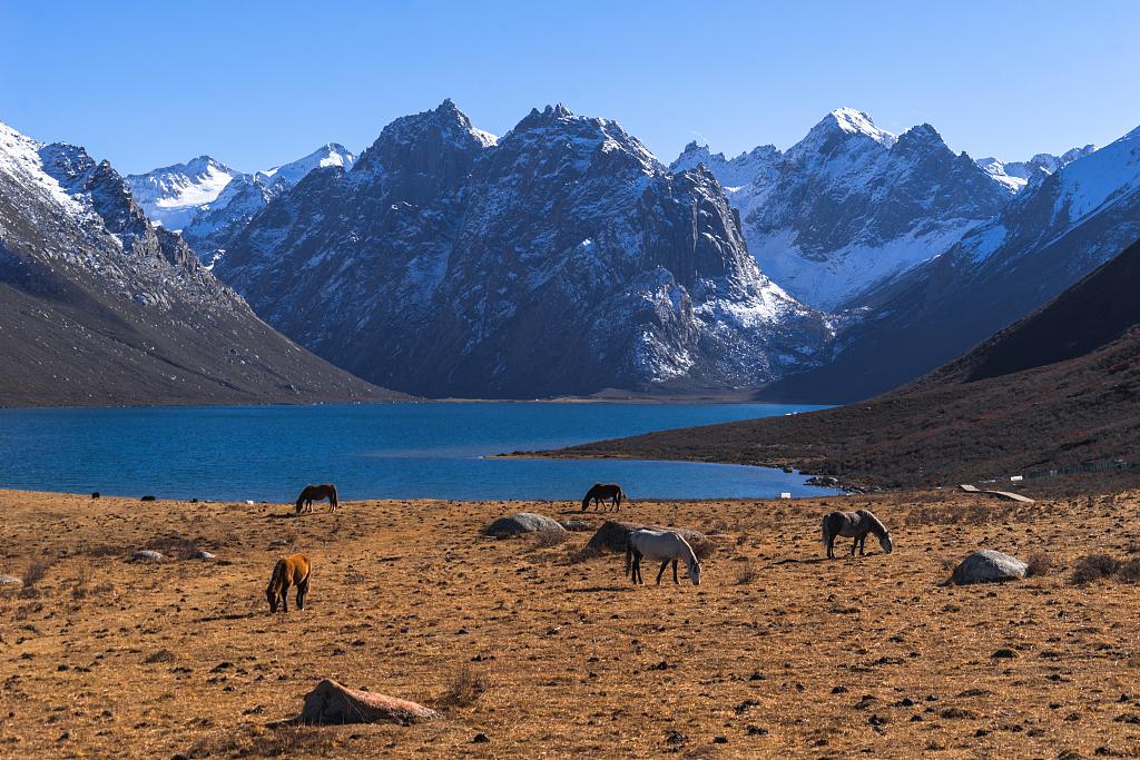 南洋寒假2025寒假，南洋寒假之旅，2025年寒假探秘之旅