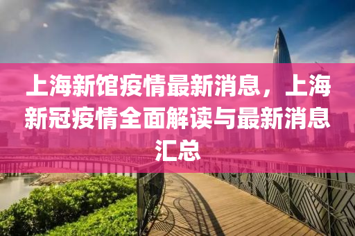 上海新冠防控最新消息全面解读，上海新冠疫情防控最新消息全面解读与分析